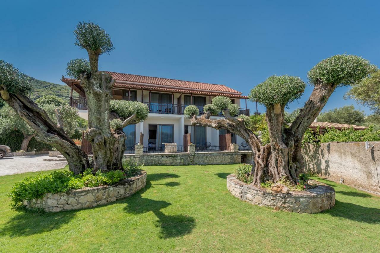 Eptanisos Beachfront Suites Zante Κερί Εξωτερικό φωτογραφία